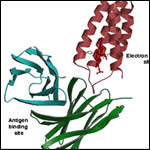 research pdb30